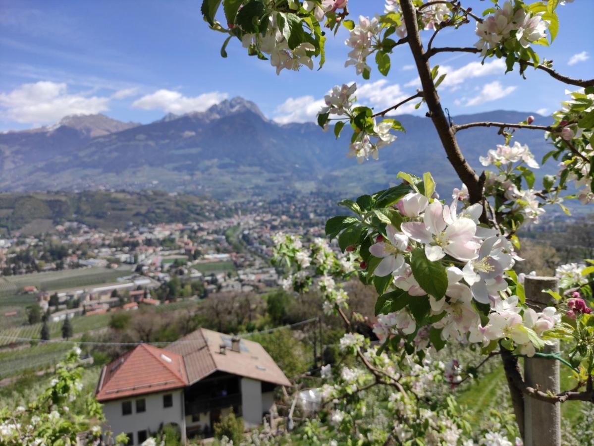 Apartment Hagen Merano Dış mekan fotoğraf